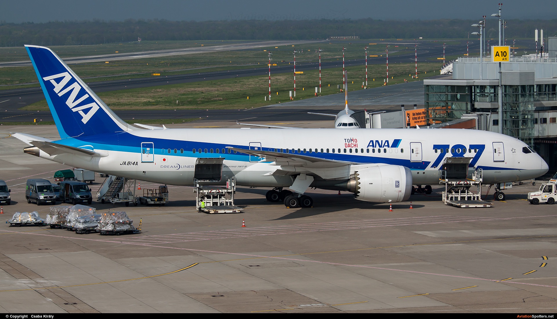 ANA - All Nippon Airways  -  787-8 Dreamliner  (JA814A) By Csaba Király (Csaba Kiraly)