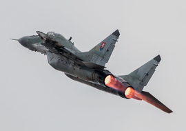 Mikoyan-Gurevich - MiG-29AS (6627) - ALEX67