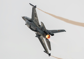 General Dynamics - F-16AM Fighting Falcon (FA-124) - ALEX67