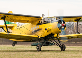 Antonov - An-2 (HA-MBD) - ALEX67