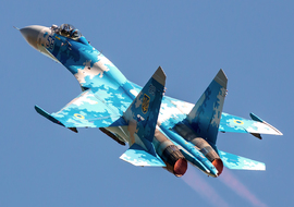 Sukhoi - Su-27 (58) - ALEX67