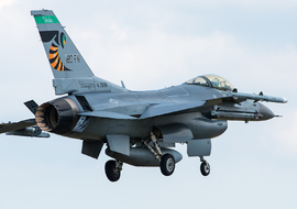 General Dynamics - F-16C Fighting Falcon (89-2098) - ALEX67