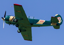 Yakovlev - Yak-52 (09) - ALEX67