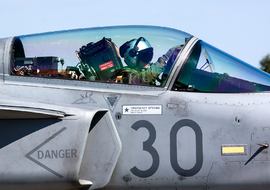 SAAB - JAS 39C Gripen (30) - ALEX67