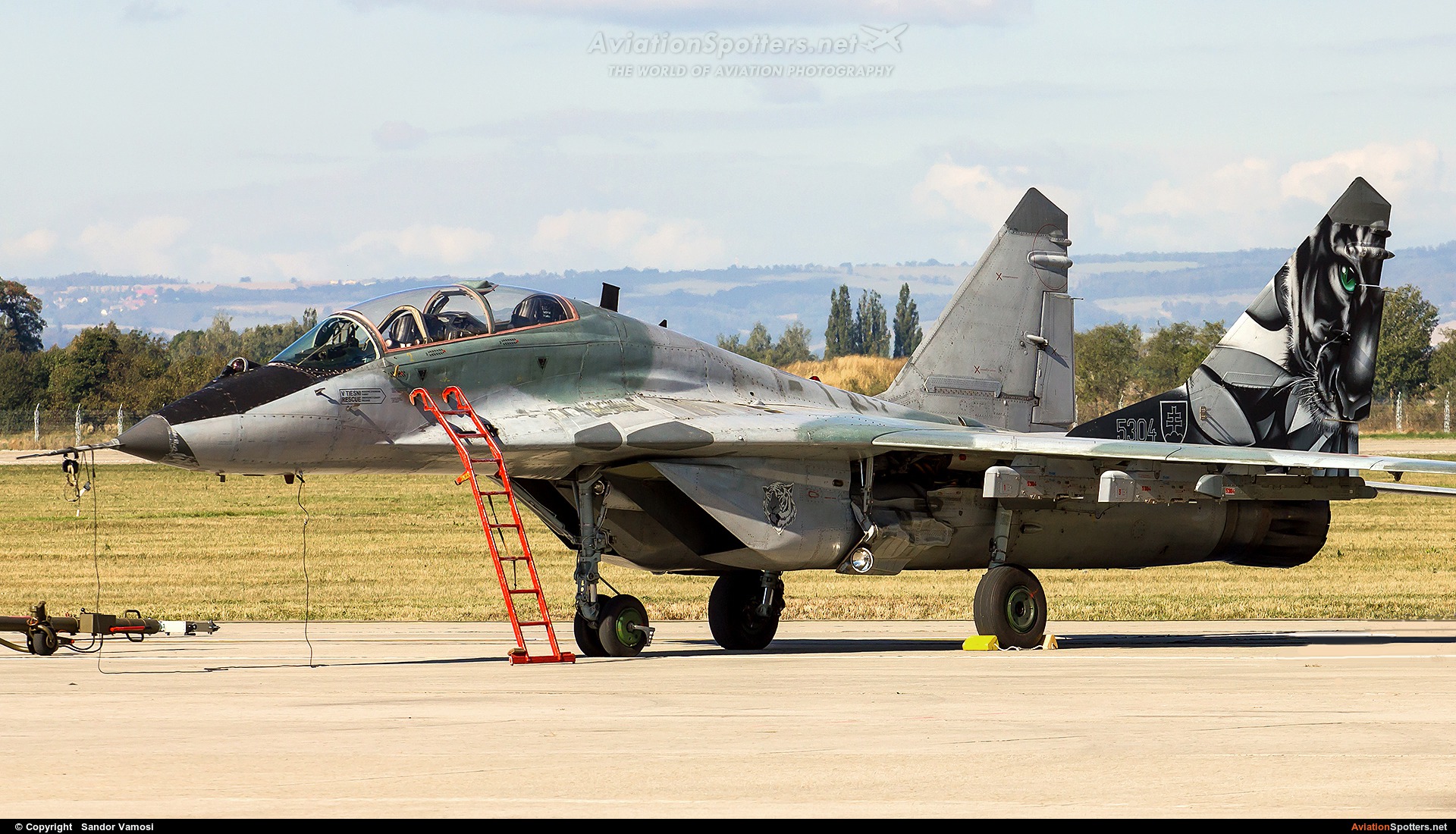 Slovakia - Air Force  -  MiG-29UBS  (5304) By Sandor Vamosi (ALEX67)