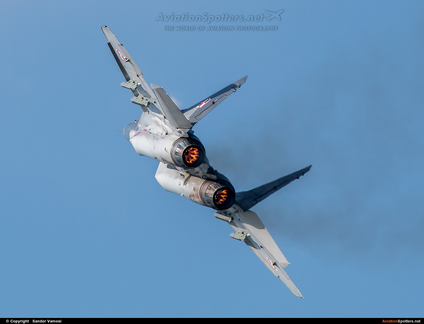 Poland - Air Force  -  MiG-29A  (67) By Sandor Vamosi (ALEX67)