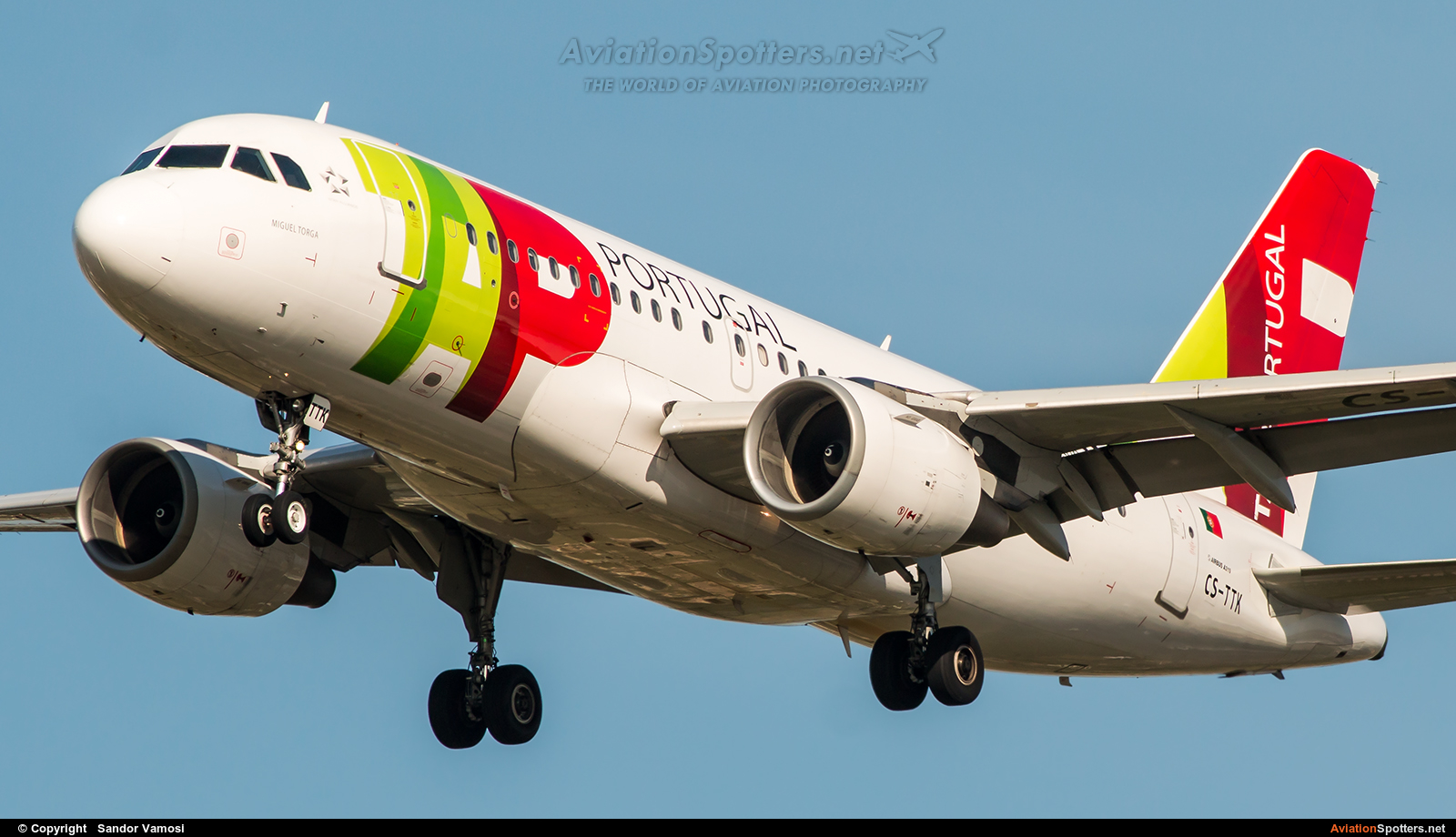 TAP Portugal  -  A319-111  (CS-TTK) By Sandor Vamosi (ALEX67)