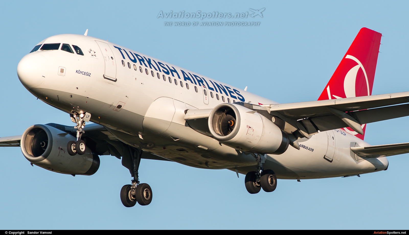 Turkish Airlines  -  A319  (TC-JLP) By Sandor Vamosi (ALEX67)