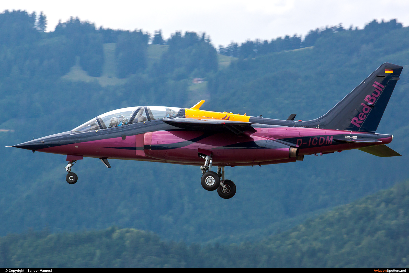 The Flying Bulls  -  Alpha Jet A  (D-ICDM) By Sandor Vamosi (ALEX67)