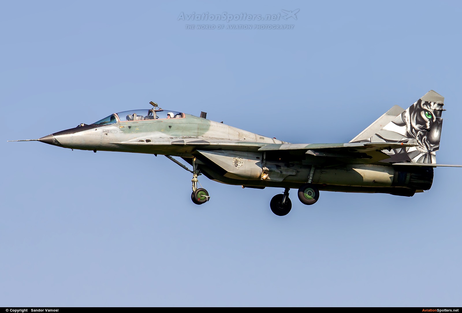 Slovakia - Air Force  -  MiG-29UBS  (5304) By Sandor Vamosi (ALEX67)
