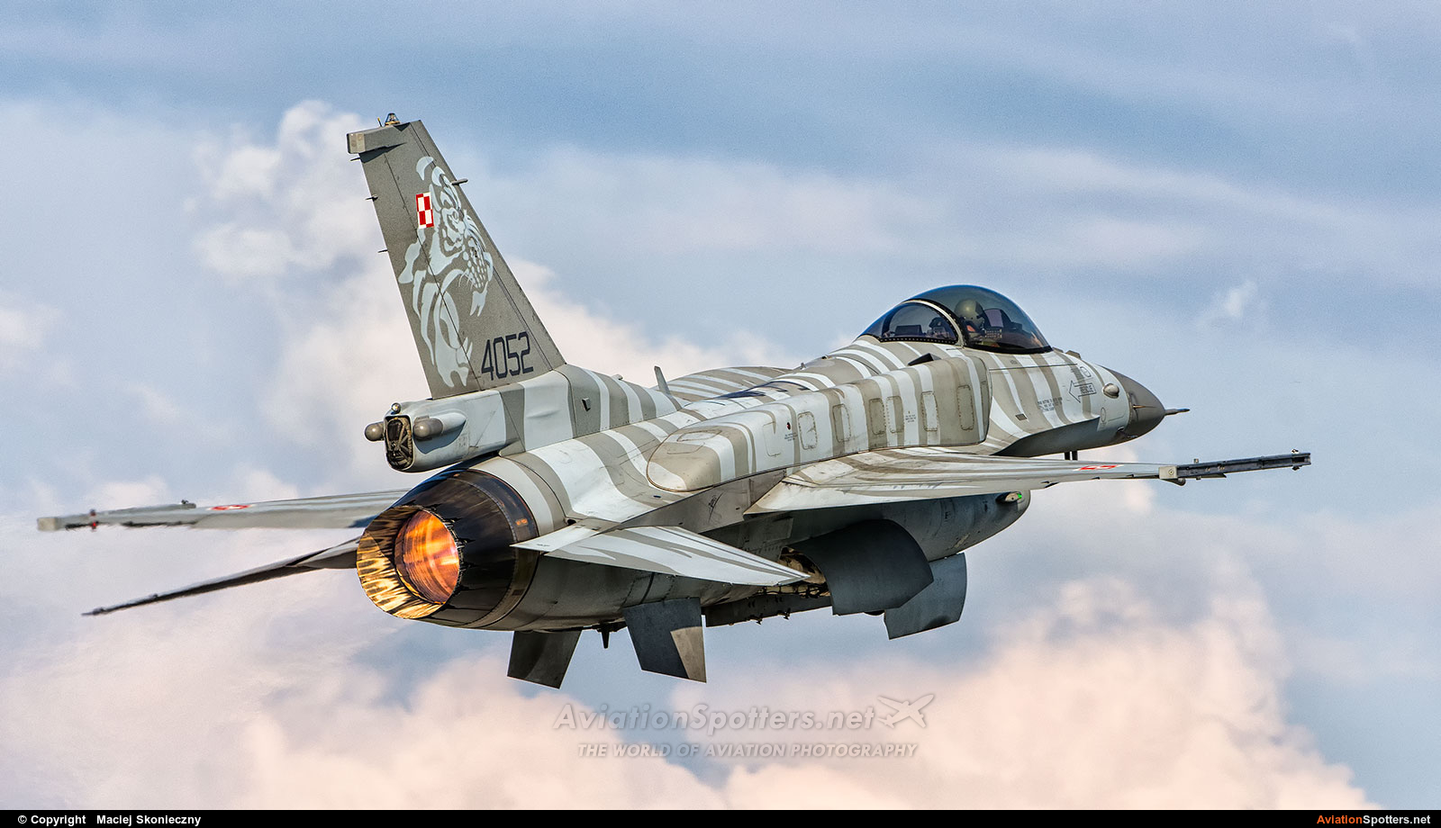 Poland - Air Force  -  F-16C Jastrząb  (4052) By Maciej Skonieczny (Maciej Skonieczny)