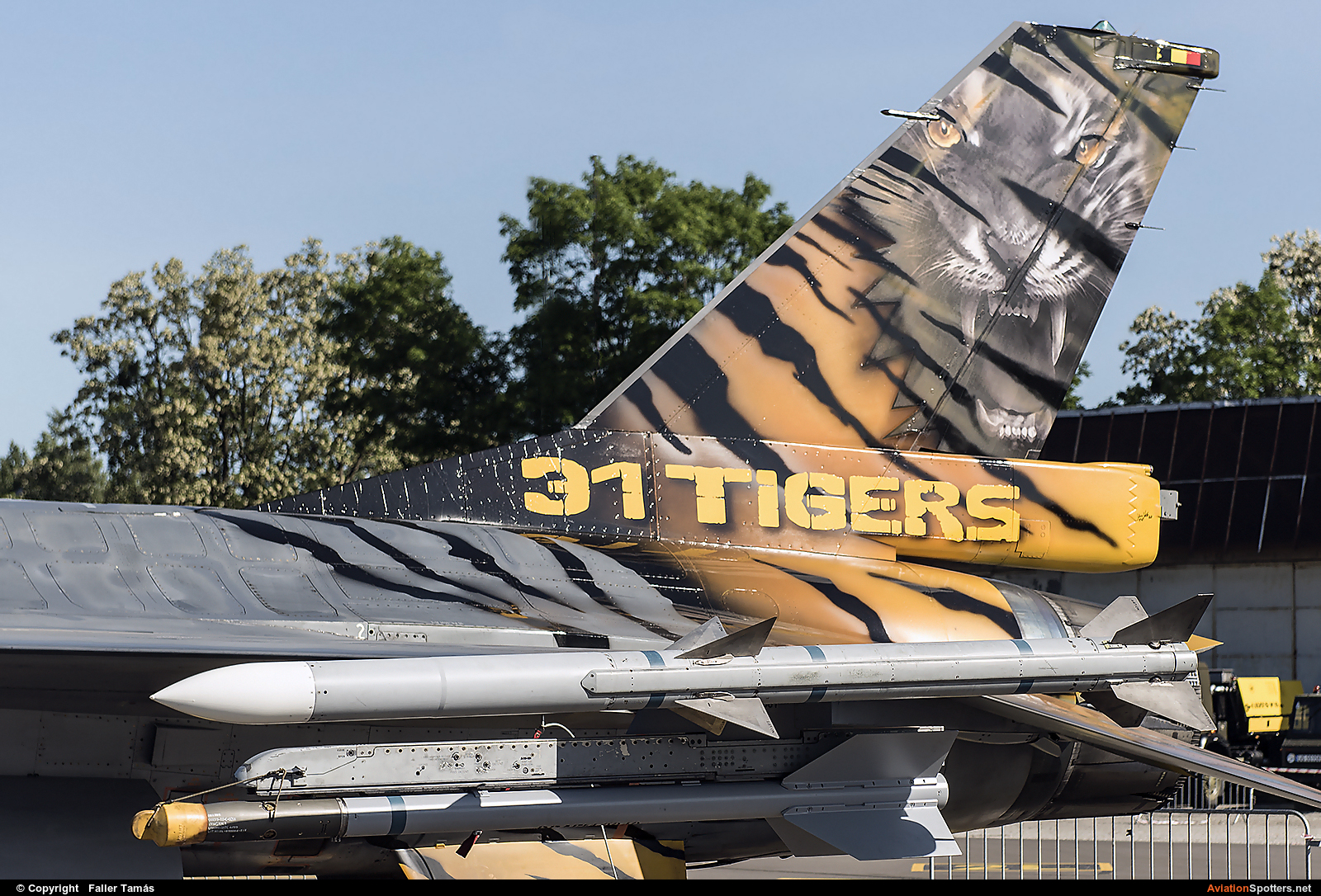 Belgium - Air Force  -  F-16AM Fighting Falcon  (FA-116) By Faller Tamás (fallto78)