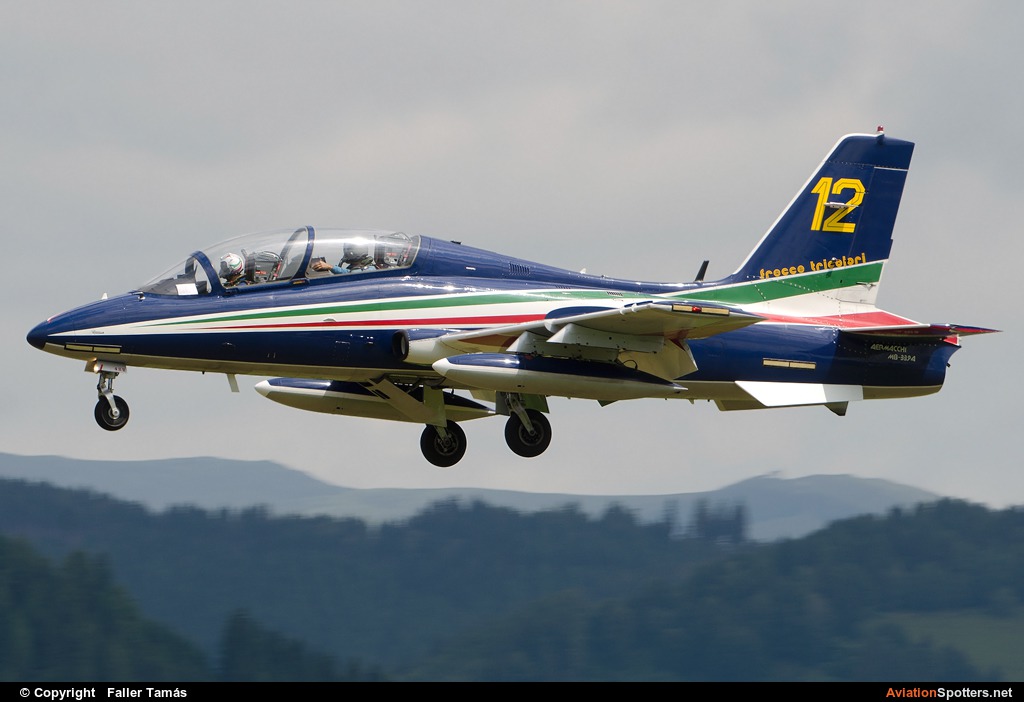 Italy - Air Force : Frecce Tricolori  -  MB-339-A-PAN  (MM54534) By Faller Tamás (fallto78)