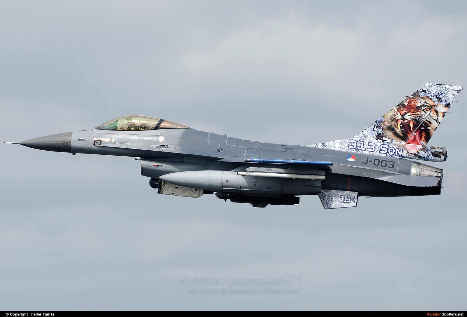 Netherlands - Air Force  -  F-16AM Fighting Falcon  (J-003) By Faller Tamás (fallto78)