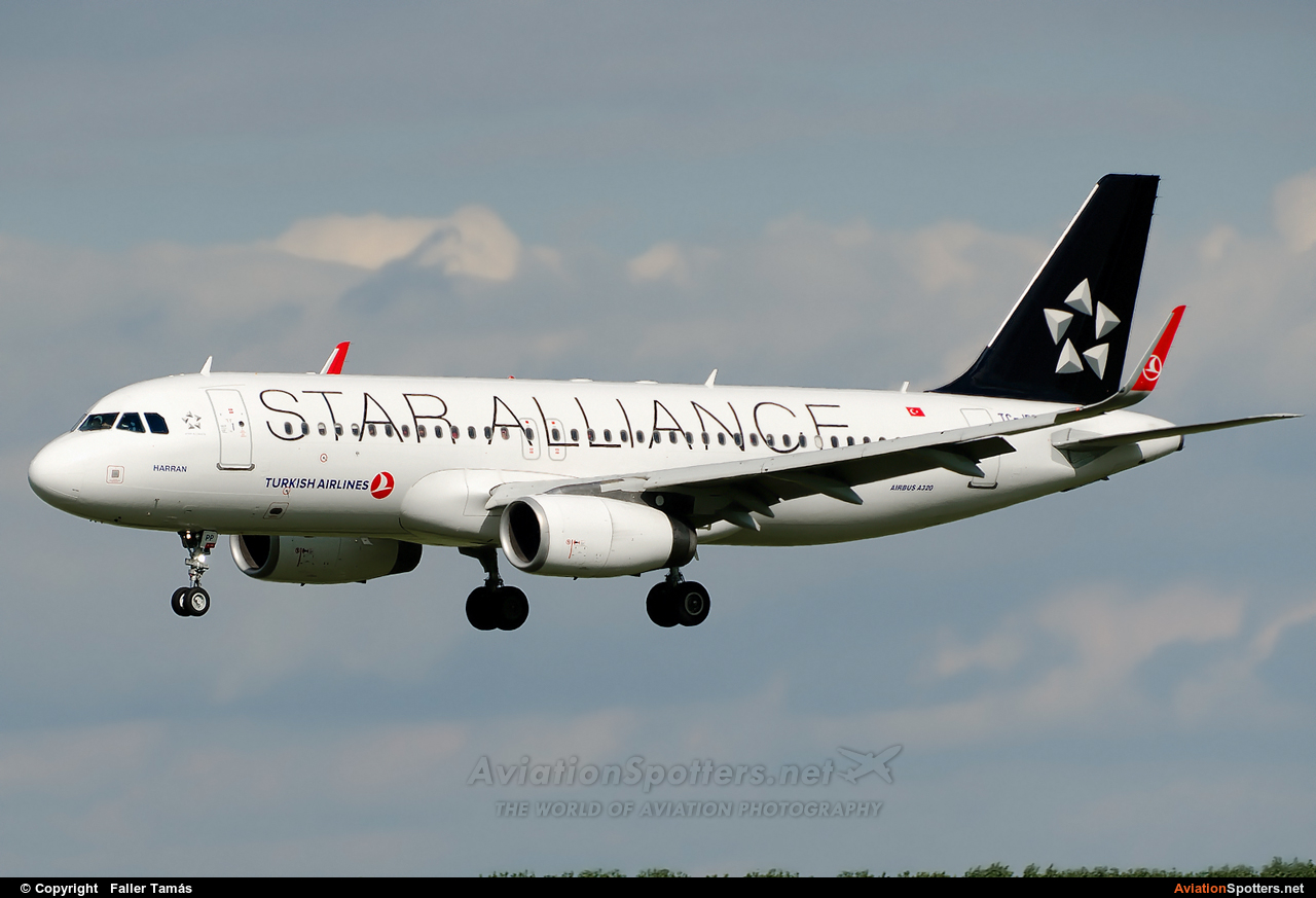 Turkish Airlines  -  A320-232  (TC-JPP) By Faller Tamás (fallto78)