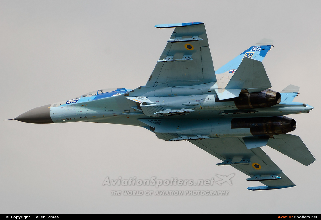 Ukraine - Air Force  -  Su-27  (69) By Faller Tamás (fallto78)