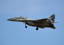 Mikoyan-Gurevich - MiG-29UBS (5304) - Filipivin