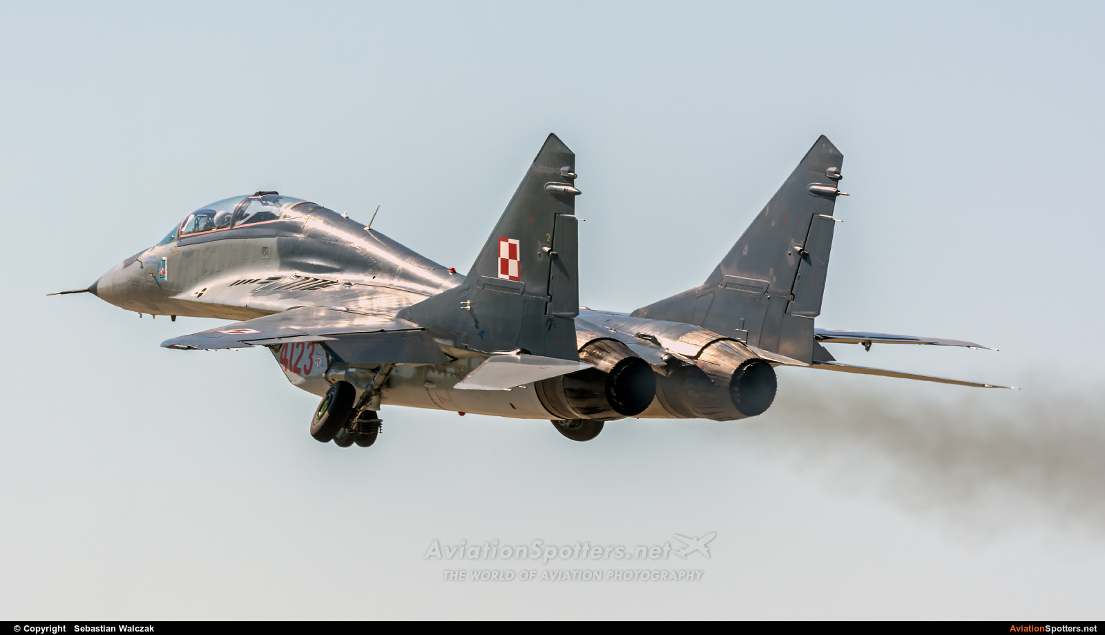 Poland - Air Force  -  MiG-29GT  (4123) By Sebastian Walczak (Strange)