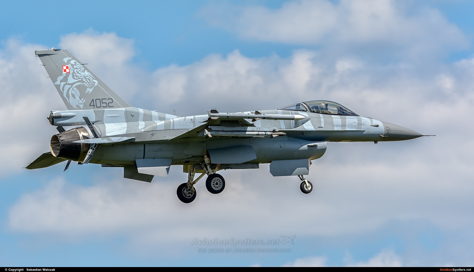 Poland - Air Force  -  F-16C Jastrząb  (4052) By Sebastian Walczak (Strange)