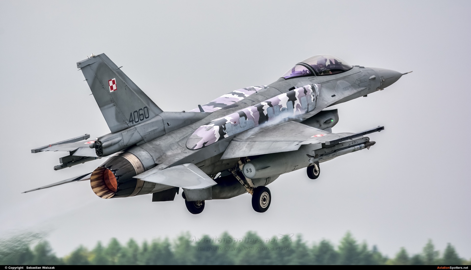Poland - Air Force  -  F-16C Jastrząb  (4060) By Sebastian Walczak (Strange)