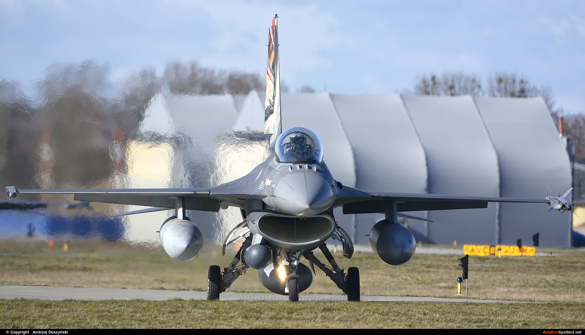 Portugal - Air Force  -  F-16AM Fighting Falcon  (15103) By Andrzej Duszyński (duszy)