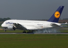 Airbus - Airbus A380-841 (D-AIMG) - BERTAL