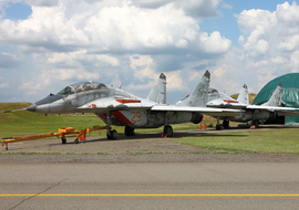 Mikoyan-Gurevich - MiG-29UB (29) - BERTAL