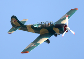 Yakovlev - Yak-52 (12) - BERTAL