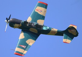 Yakovlev - Yak-52 (09) - BERTAL
