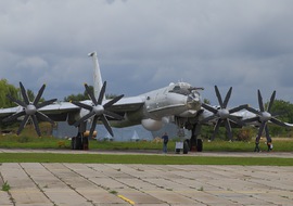 Tupolev - Tu-142MZ (85 BLACK) - BERTAL