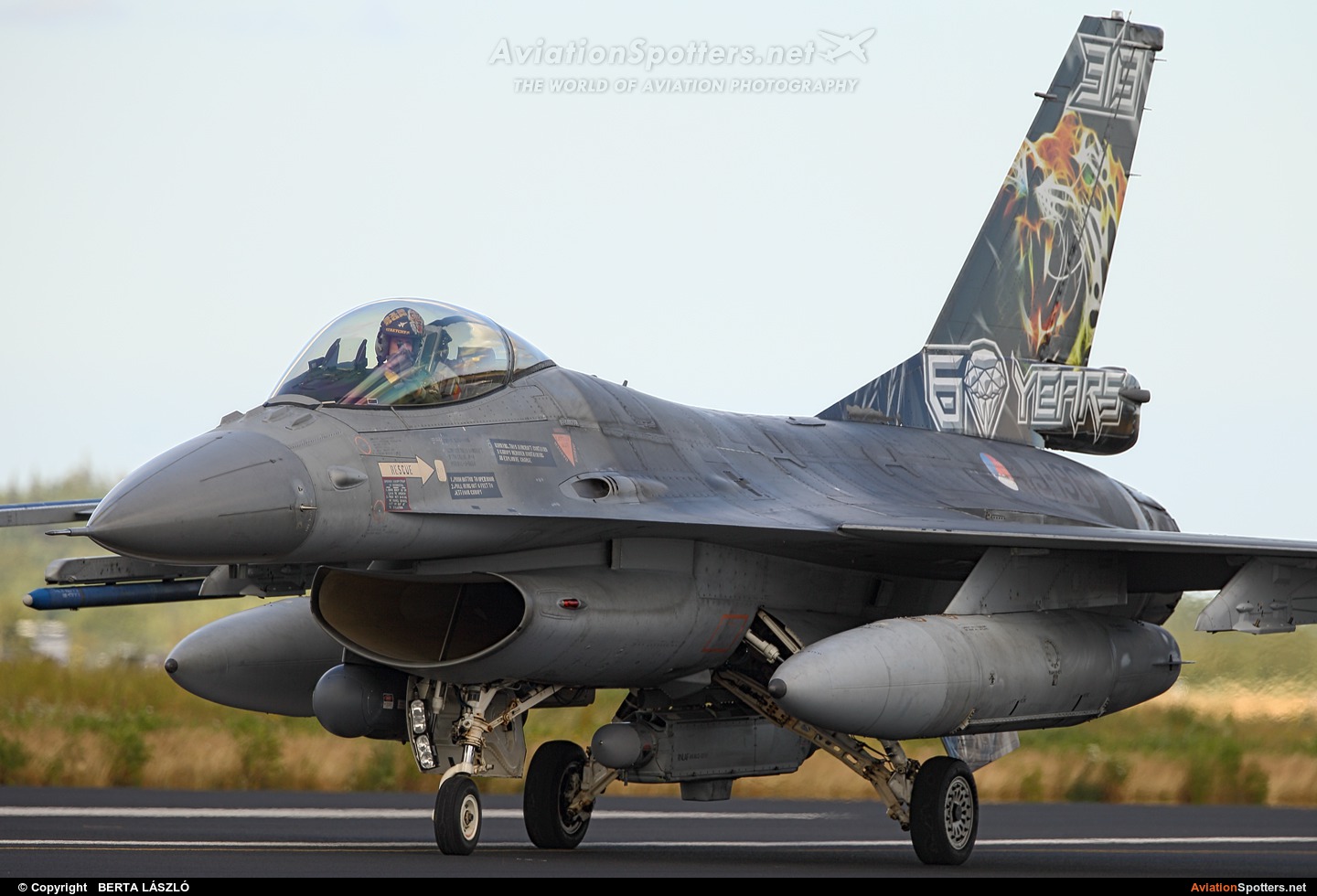 Netherlands - Air Force  -  F-16AM Fighting Falcon  (J-196) By BERTA LÁSZLÓ (BERTAL)