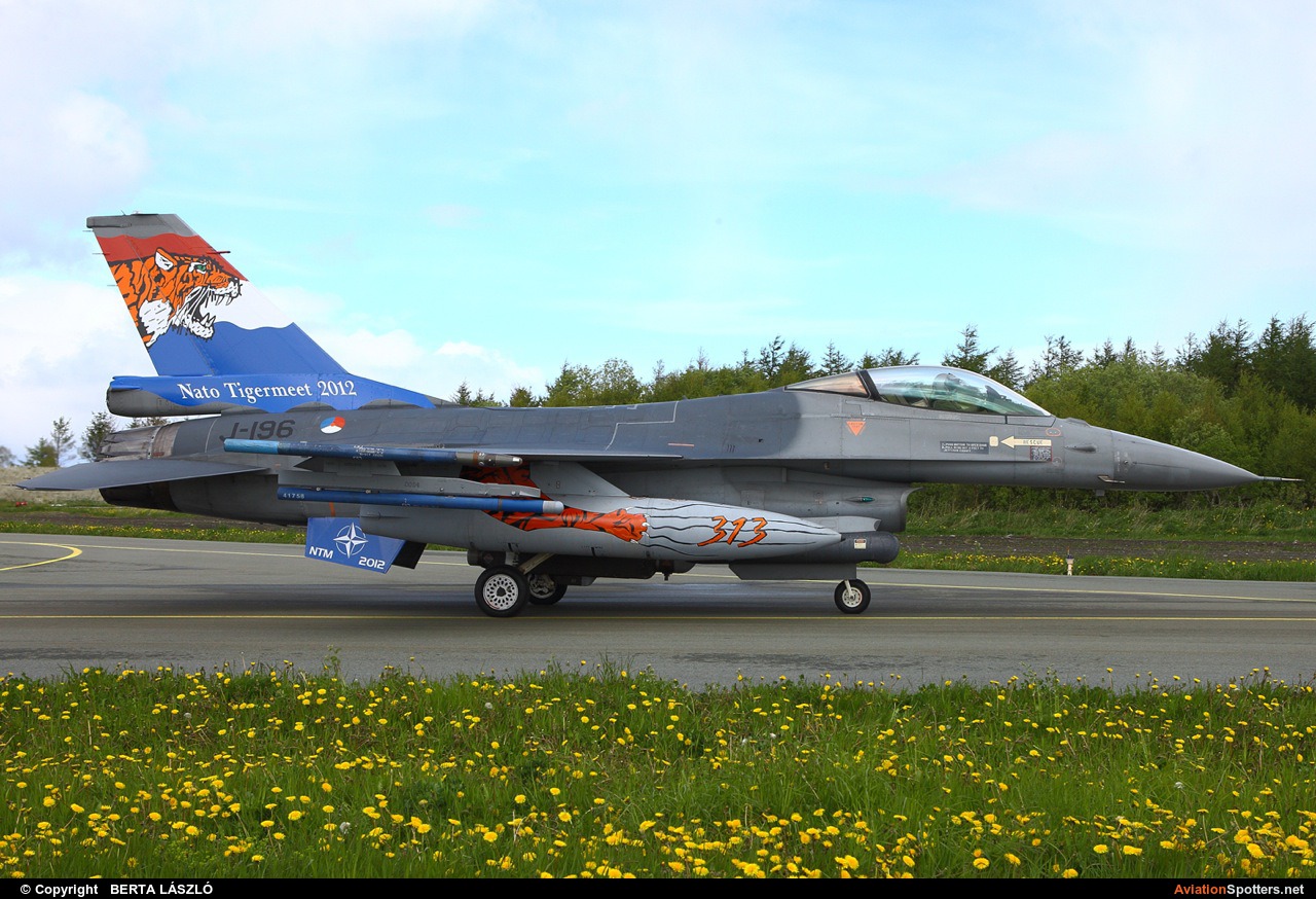 Netherlands - Air Force  -  F-16AM Fighting Falcon  (J-196) By BERTA LÁSZLÓ (BERTAL)