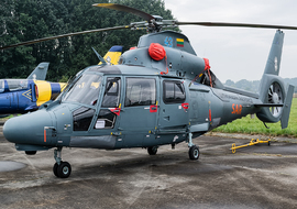 Eurocopter - AS365 Dauphin 2 (43) - PEPE74