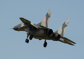 Mikoyan-Gurevich - MiG-29A (4113) - ryś
