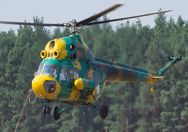 Mil - Mi-2 (EW-124AD) - ryś