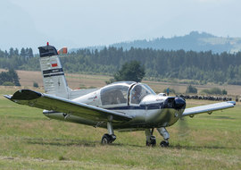 Morane Saulnier - MS.893ED Rallye 180GT (SP-CAC) - ryś