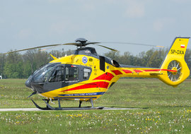 Eurocopter - EC135 (all models) (SP-DXA) - ryś