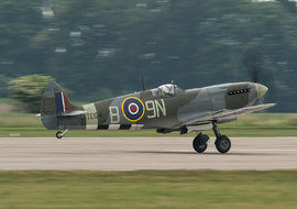 Supermarine - Spitfire LF.XVI (TE 184) - ryś