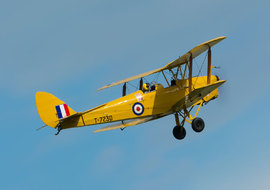 de Havilland - DH. 82 Tiger Moth (SP-YAA) - ryś