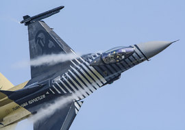 General Dynamics - F-16C Fighting Falcon (88-0032) - ryś