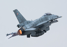 General Dynamics - F-16C Block 52+ Fighting Falcon (4052) - ryś