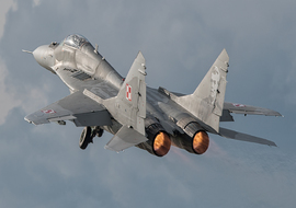 Mikoyan-Gurevich - MiG-29 (38) - ryś