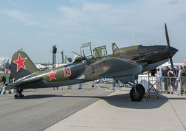 Ilyushin - Il-2 Sturmovik (RA-2783G) - ryś