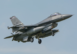 General Dynamics - F-16C Fighting Falcon (89-2102) - ryś