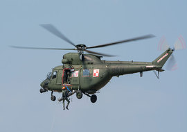 PZL - W-3 Sokol (0419) - ryś
