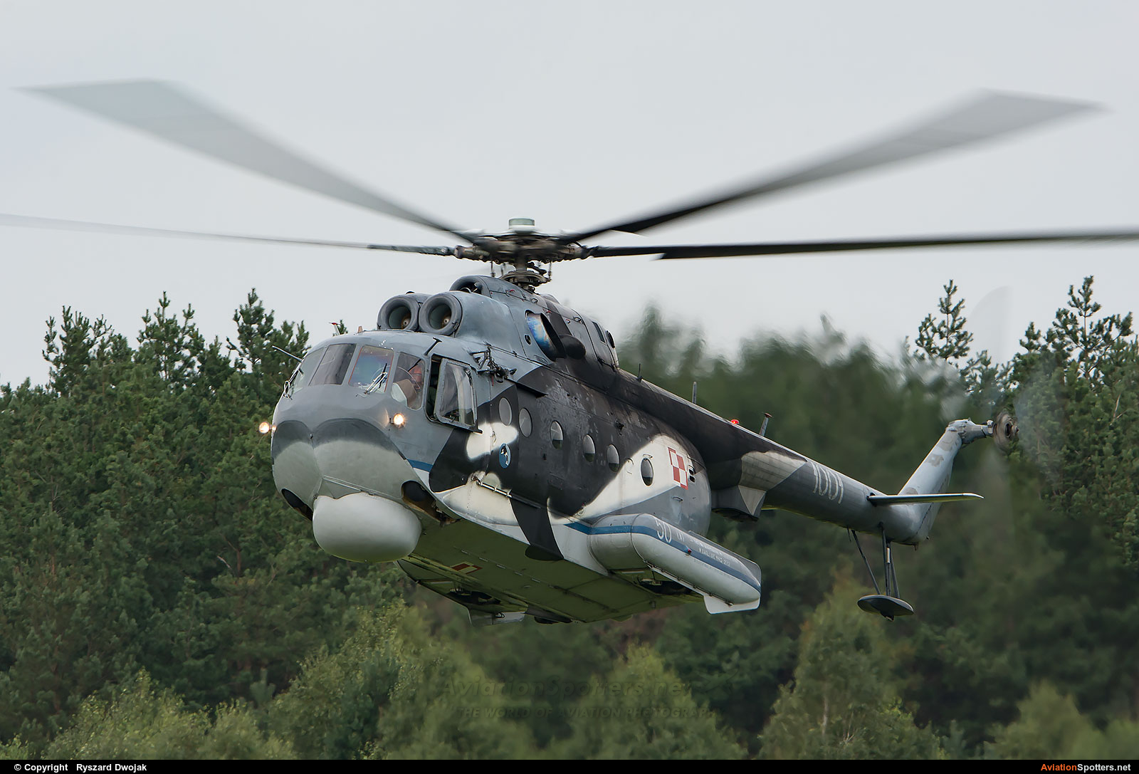 Poland - Navy  -  Mi-14PL  (1001) By Ryszard Dwojak (ryś)