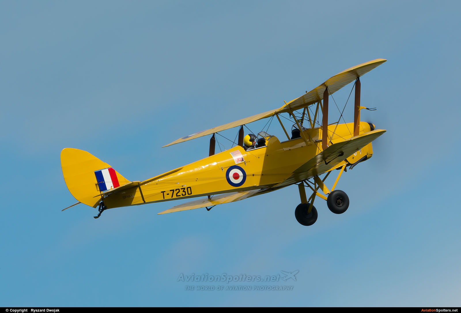 Private  -  DH. 82 Tiger Moth  (SP-YAA) By Ryszard Dwojak (ryś)