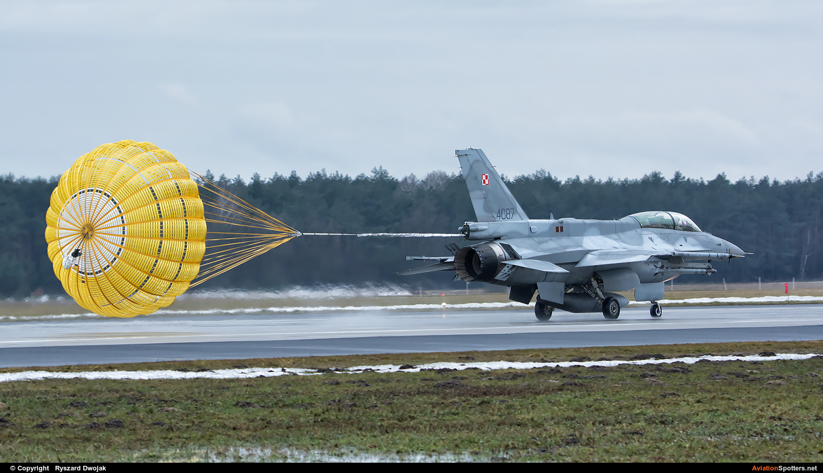 Poland - Air Force  -  F-16D Fighting Falcon  (4087) By Ryszard Dwojak (ryś)