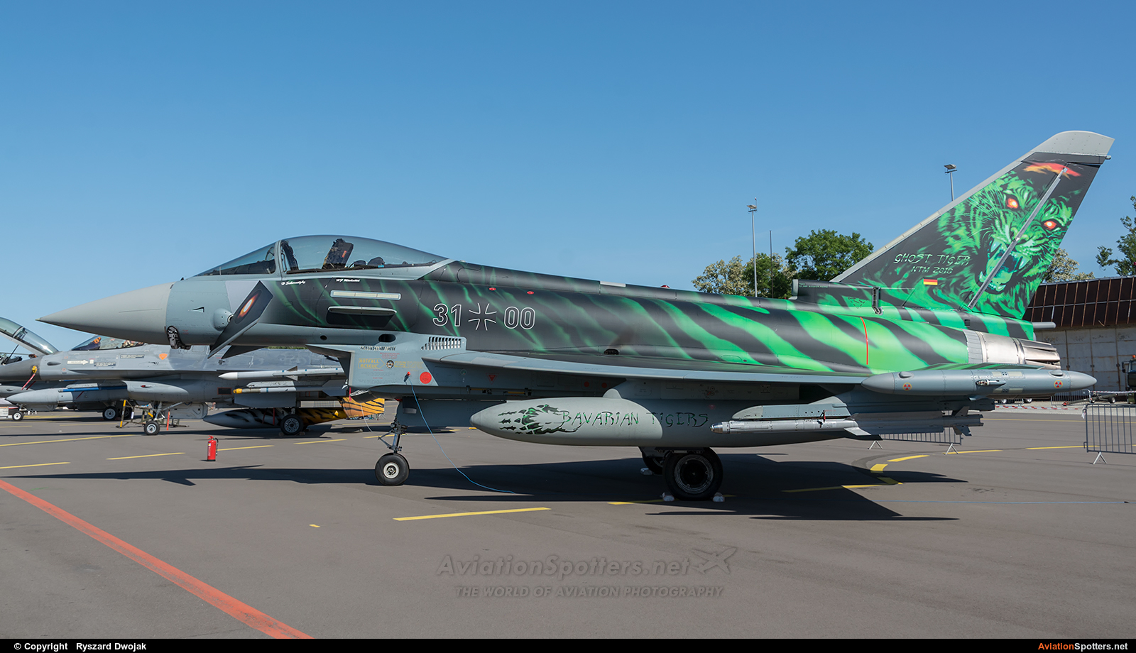 Germany - Air Force  -  Typhoon  (31-00) By Ryszard Dwojak (ryś)