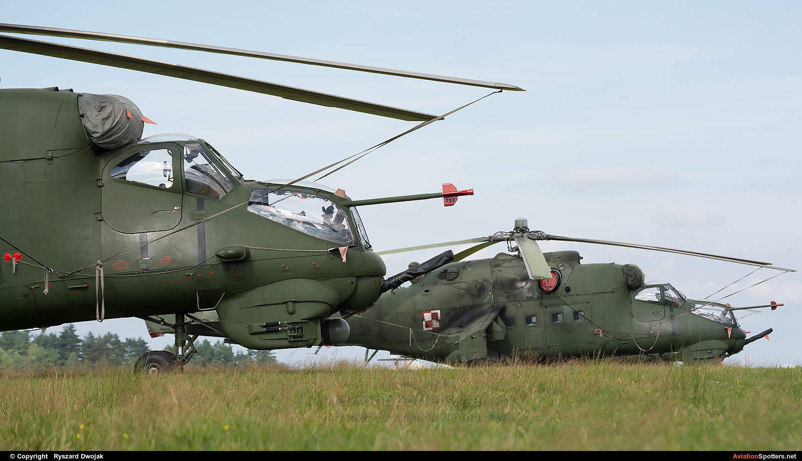 Poland - Air Force  -  Mi-24D  (731) By Ryszard Dwojak (ryś)